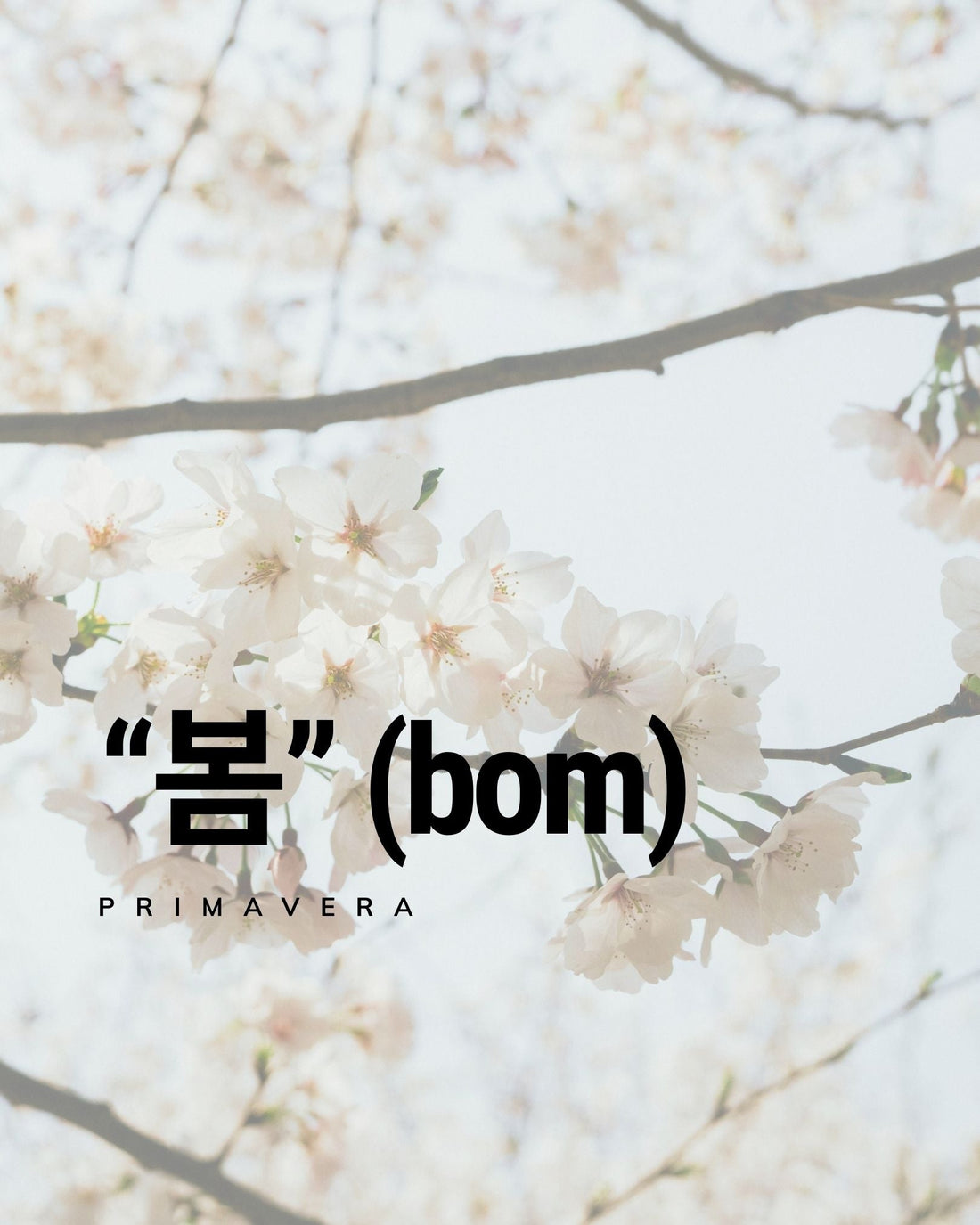 Bom significa primavera: deja que tu piel florezca